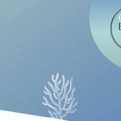 Akyol Gummy Bear Oorbellen | Beertje | Cadeau | Sieraad | Gummy Bear | Bear | Sieraad Voor Meisje | Gummy Beer | Gummy Beer Oorbellen| -JACK & JONES JUNIOR winkel 550x309