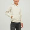 JACK & JONES JUNIOR JACK&JONES JUNIOR JORCOPENHAGEN SWEAT HOOD NOOS JNR Heren Trui - Maat 164 -JACK & JONES JUNIOR winkel 550x725 1