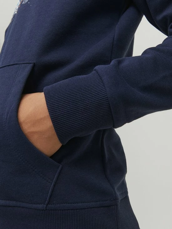 JACK & JONES JUNIOR JACK&JONES JUNIOR JJTEAR SWEAT HOOD JNR Jongens Trui - Maat 152 5 JACK & JONES JUNIOR JACK&JONES JUNIOR JJTEAR SWEAT HOOD JNR Jongens Trui - Maat 152 - Afbeelding 3